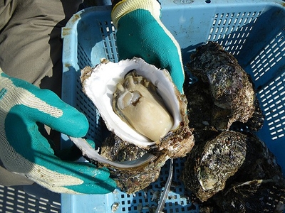 uvT7UWNMpaGoCEGODe2k.jpg?w=940&h=940