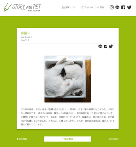 uvnhCbtKxsr1pS8cN7vU.png?w=940&h=940