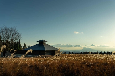 uwE9hsXGPKSVQjjZMeK3.jpg?w=940&h=940