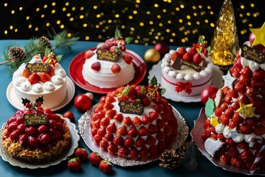 【いちご専門店 いちごBonBonBERRY】 契約農家の静岡県産いちごを100粒以上使用した ツリー型ケーキも！ 「クリスマスケーキ2024」10月11日から予約受付開始