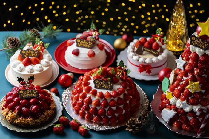 クリスマスケーキ2024 ※写真はイメージです