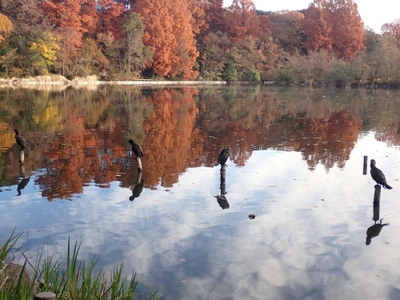 uwi7z6NtuCiU5ncHcEkx.jpg?w=940&h=940