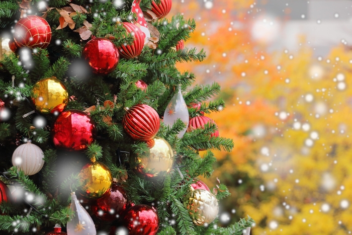 クリスマス ※イメージ