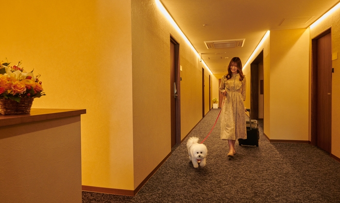 エントランスイメージ_3