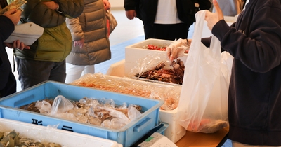 uyOcsrJS7l7ohukhKXe5.jpg?w=940&h=940