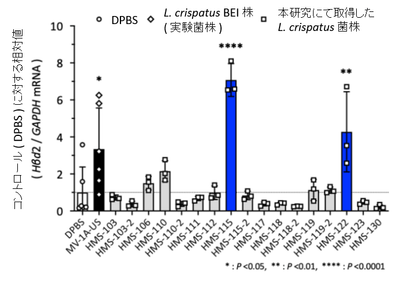 uzHPtPqHPd4QEvbm2xeJ.png?w=940&h=940