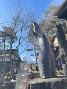 uzsYCCiWQEPqEEyasxB1.jpg?w=940&h=940