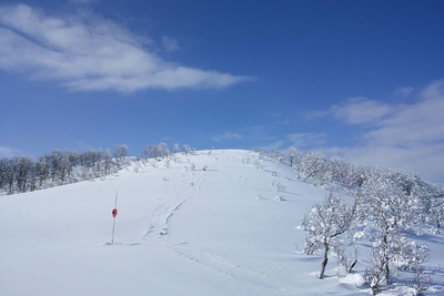 スキージャム勝山（福井県 勝山市）