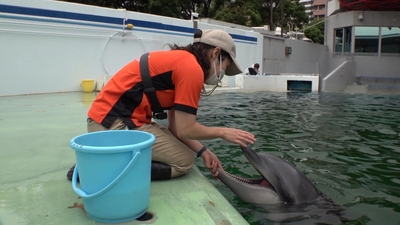 uzxBc0mNNniYuDcd4Gt1.jpg?w=940&h=940