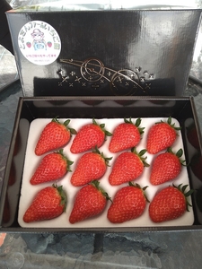 v0AHcxVtSQ8ofrDdnVy1.jpg?w=940&h=940