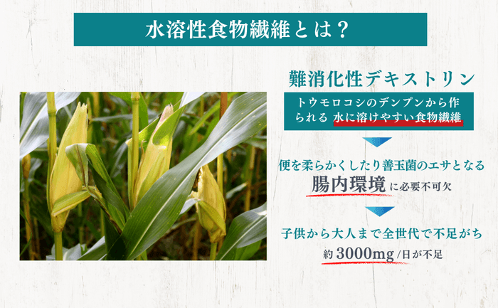 水溶性食物繊維とは