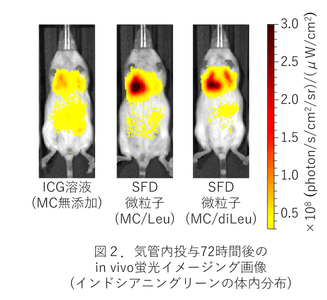 v0kzjSfoLdCUpRO1z3KE.png?w=940&h=940