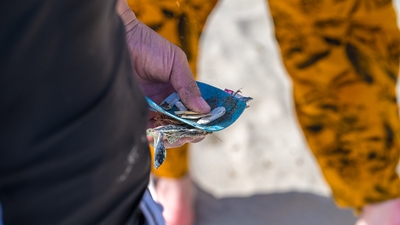 v0mRJRHNSpVX1l6SDzbf.jpg?w=940&h=940