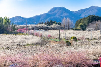 v1MXndZCJ5uzpLQlhxd8.jpg?w=940&h=940