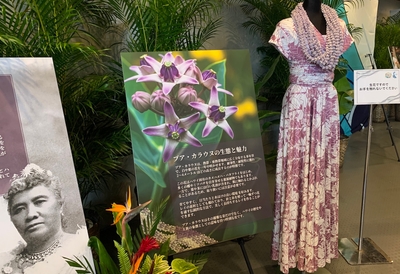イベントシンボルの花「プア・カラウヌ」