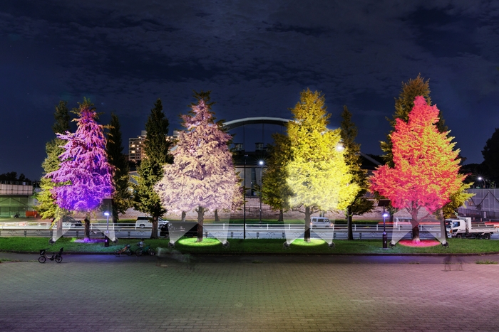 大階段下イチョウ ライトアップイメージ