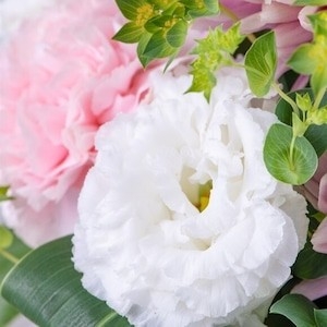 v51UzSbs7BKgTnbHkCnA.jpg?w=940&h=940