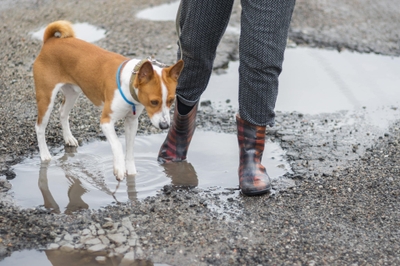 v5Dz2zYjNaVX3oytU5IZ.jpeg?w=940&h=940