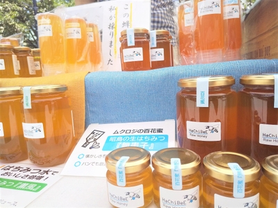 v5V9WVJ7aa6Ly6A3wukd.jpg?w=940&h=940