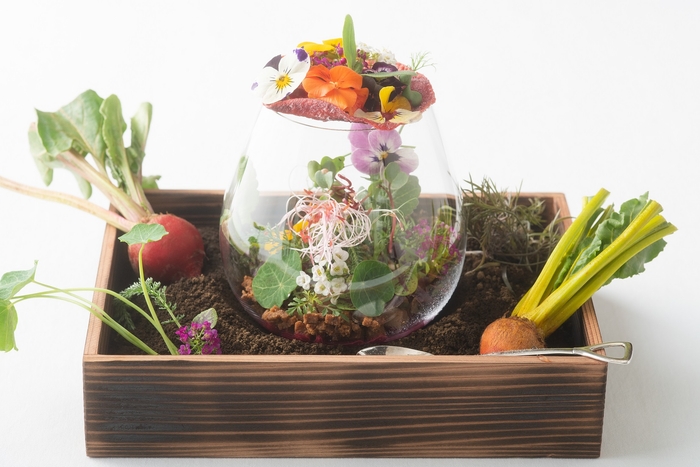 フォアグラのコンフィ 焼き味噌のクランブル ビーツと赤紫蘇のピューレ メルカート千葉の畑より