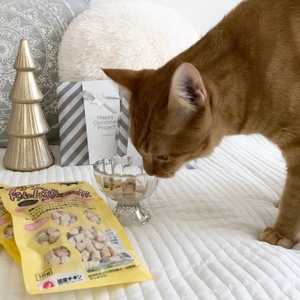 v6dOIIaiQfeiqIcFtvIc.jpg?w=940&h=940