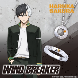 ●桜 遥 モデル