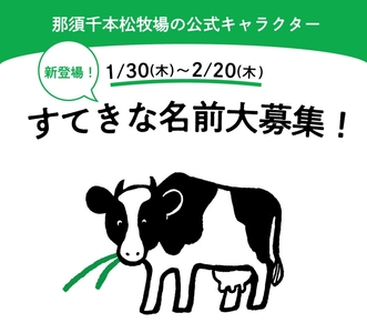 v72KnBuItq4nulrgaYli.jpg?w=940&h=940