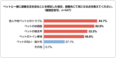 v82U3xQK6NoUeDTuvyhi.png?w=940&h=940