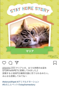 v8OJtGKSVbJHpdPBjT9j.jpg?w=940&h=940