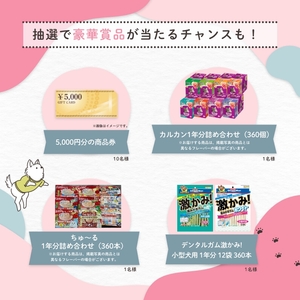 v8Ve9pbrWVtLXJlSzr7d.jpg?w=940&h=940