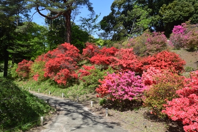 v8aupu5ee9hI3flOtU8j.jpg?w=940&h=940