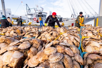 vAadJCi4WOda1ki4iplR.jpg?w=940&h=940