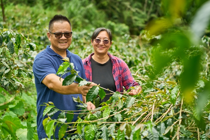 優勝した七彩琉璃コーヒー農園