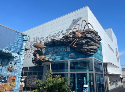 vBWHfKwLQKb7iWkaSOZC.jpg?w=940&h=940