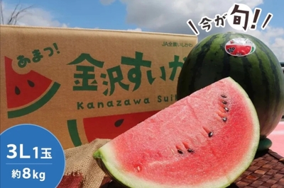 今が旬！金沢すいか