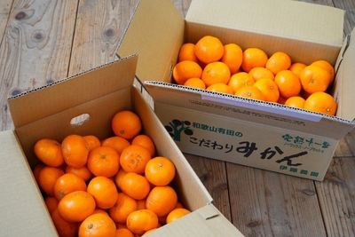 vDAnIHASeKnFULXpHA2E.jpg?w=940&h=940