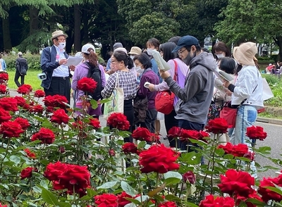 vED2KwVUVGNOjXF6iaKR.jpg?w=940&h=940