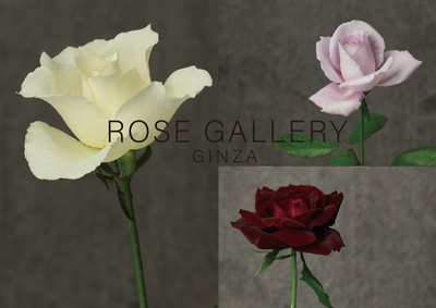 vEERaNKNrsUQsuQMOLpD.jpg?w=940&h=940