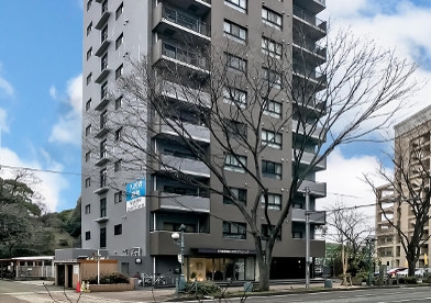 vEZIblbA6t2sL09lHbYk.jpeg?w=940&h=940