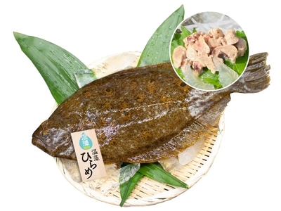 温藻ヒラメの提供イメージ