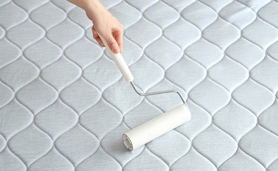 vFYdP97YHSZsy1o8GWjT.jpg?w=940&h=940