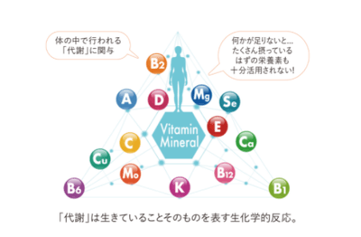 vGjMDp7wFDFhFlJnQNI9.png?w=940&h=940