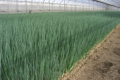 vHkunDvwWQeKmuw45HY2.jpg?w=940&h=940