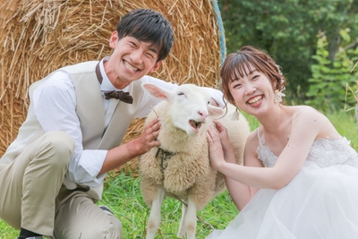 vK1JGEF4P6gimxms5cDc.jpg?w=940&h=940