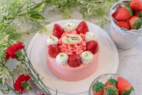 ボンボン母の日ショート ※数量限定