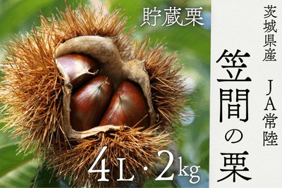 vKG5cxaRbCvDIyVfxQqh.png?w=940&h=940