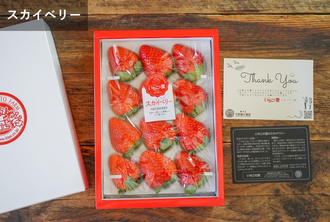 ▲【栃木県産いちご】スカイベリーDX (12~15粒入) 税込価格2,690円