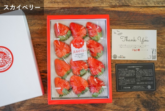 ▲【栃木県産いちご】スカイベリーDX (12~15粒入) 税込価格2,690円