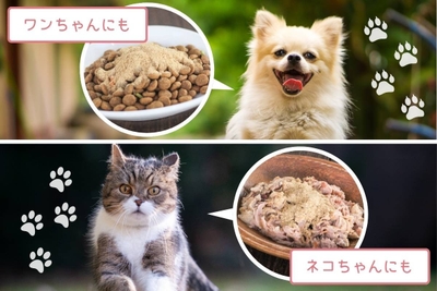 vLUuHZU3LJ2EOxoOiLuy.jpg?w=940&h=940