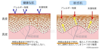 vMrhuzN5hRvJKyzrbBDq.jpg?w=940&h=940